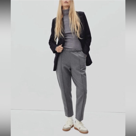 Everlane Pants - Everlane Gray Tailored Trousers Professional Fit Size M